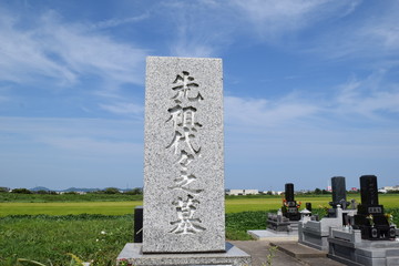 お墓の風景