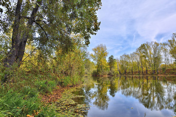 Colorful autumn landscape on the lakeside