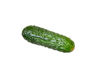 Cucumber isolated on white background