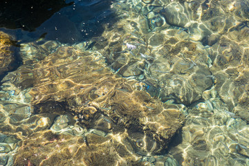 Blue clear sea surface
