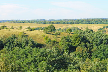 Summer landscape with meadow, trees and hills 