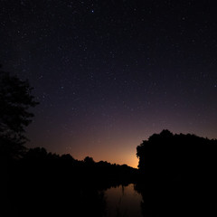 Night sky with bright stars. Against the background of the pond
