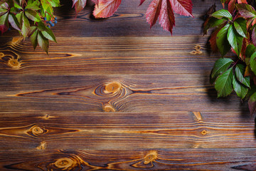 Vertical wooden background made of planks framed by autumn leaves  