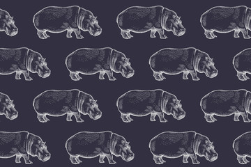 Seamless pattern with African hippopotamus.