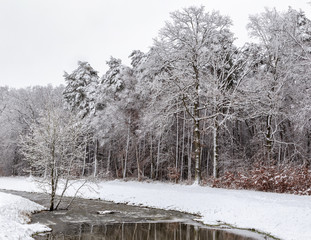 Fluss im Winterwald