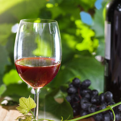 Wine glass and a bottle on a wooden table. Outdoor shot of delicious alcohol drink. Close-up shot.