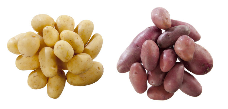 patate gialle e rosse