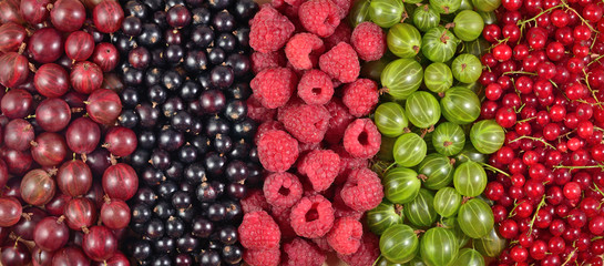 Various kinds of fresh berries as background
