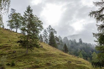 Zireiner See Tirol Wanderung Gebirge Alpen 17
