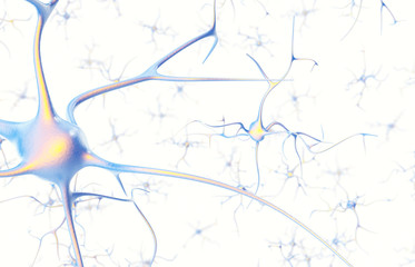 Neurons in the brain on white background with focus effect. 3d rendering