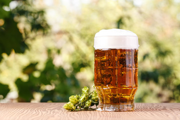 A glass of cold beer with hops outdoors.