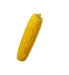 Boiled corn on white background