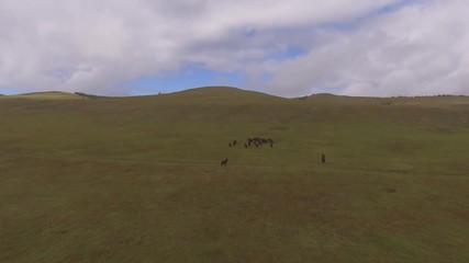 Survol des steppes mongoles