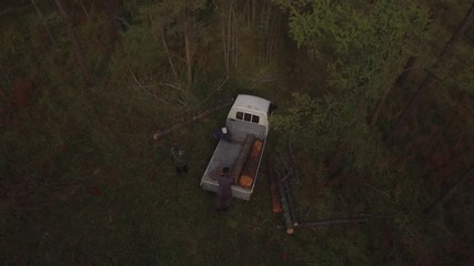 Bûcherons en train de couper des arbres morts 