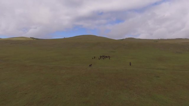 Survol des steppes mongoles