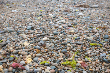 Playa de cantos rodados