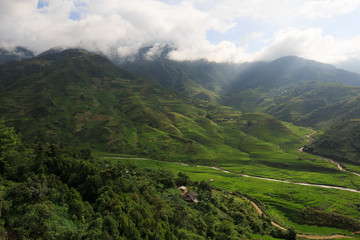 Fototapeta na wymiar Rice fields on terraced of Tu Le, YenBai, Vietnam
