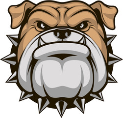 Head ferocious bulldog