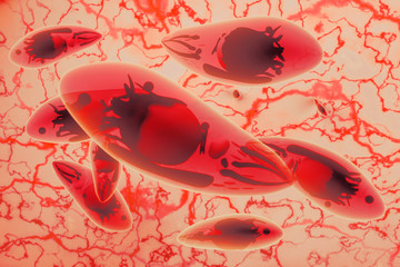 Toxoplasma gondii Toxoplasmosis Disease  3D illustration