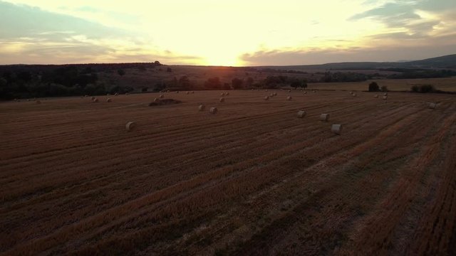     Aerial view on the wheat field with hay bales