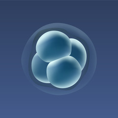 In vitro fertilization IVF . Embrio development. 4-stage cell. Illustration for web or typography magazine, brochure, flyer, poster .