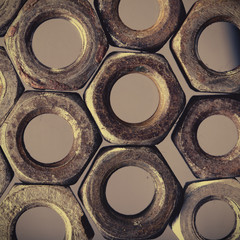 Cellular structure of the nuts, macro
