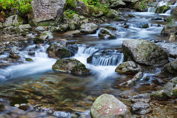 Naklejka na ściany i meble Mountain brook flowing around stones