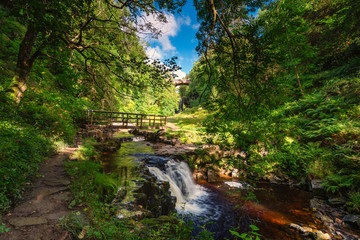 Fototapeta premium Ash Gill Riverside Walk, where the Ash Gill flows, just before it enters the River South Tyne, near its source on Alston Moor, in the North Pennines