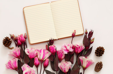 Top view of beautiful flowers and open blank notebook