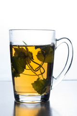 Glass isolated on white lightning background. A cup of green tea and a sprig of mint