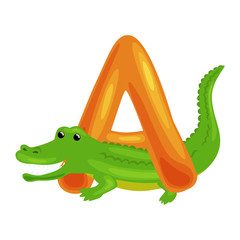 Naklejka premium letter A with Aligator animal for kids abc education in preschool.