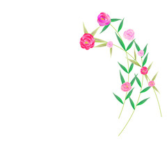 Fototapeta premium flowers
