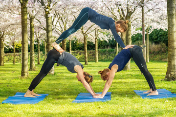 Fototapeta premium Downward facing dog