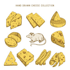 Hand drawn doodle cheese set Vector vintage illustration.
