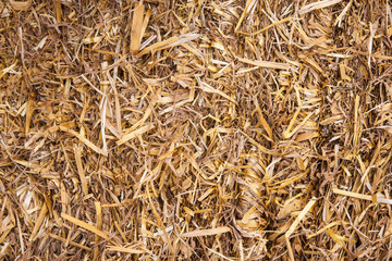 Pressed hay closeup view