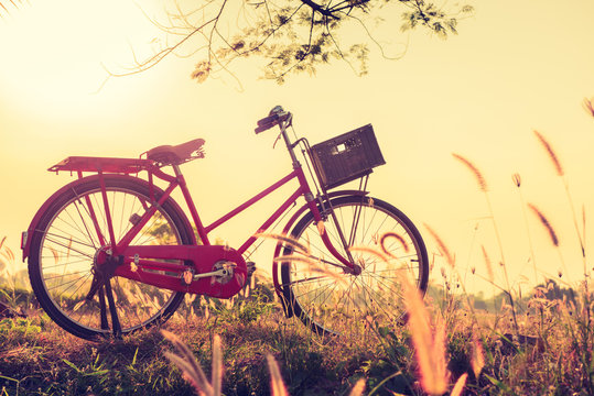 beautiful landscape image with vintage Bicycle at sunset,classic