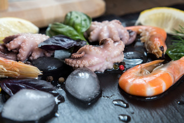 Preparing fresh seafood in the kitchen with gourmet pink shrimp and octopuses surrounded by ice, fresh herbs and spices on black stone background