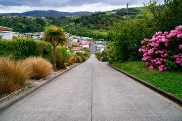 The World's Steepest Road