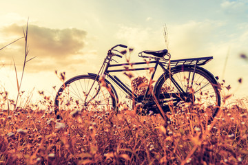 Fototapeta na wymiar Vintage Bicycle with Summer grassfield