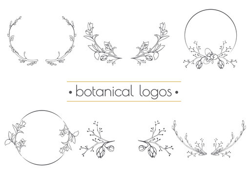 Set of vector botanical logo on the blurred background. It's good for floral shop or natural organic cosmetics.