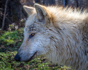 Obraz premium Been Fishing