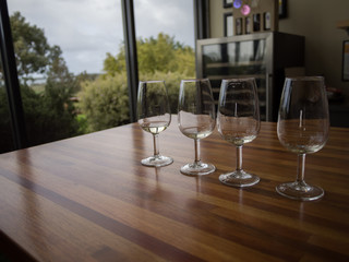 Wine Glasses