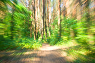 green motion blurred  background