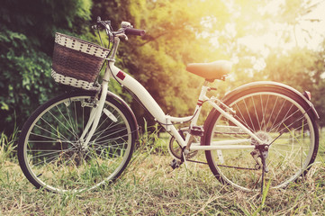 Fototapeta na wymiar white bicycle in green garden