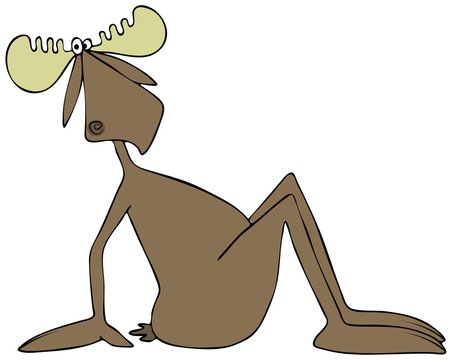 Illustration of a bull moose sitting on its butt with arms towards the rear for balance.