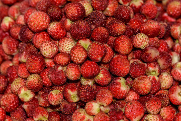 strawberries berry wild bunch