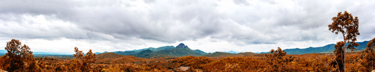 Panorama of mountains and forest