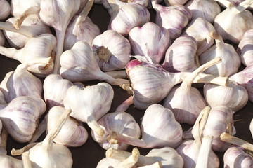 frische Knoblauchzehen auf einem Marktstand, Bremen, Deutschland, Europa