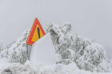 Neve
