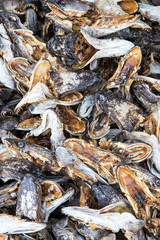 Dried fish heads.